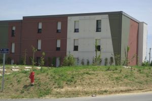 LaChapelleT ZACauxoiseaux 2- site.JPG